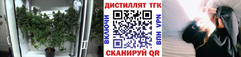 где найти   omg ТОР  ТГК жижа  Рузаевка 