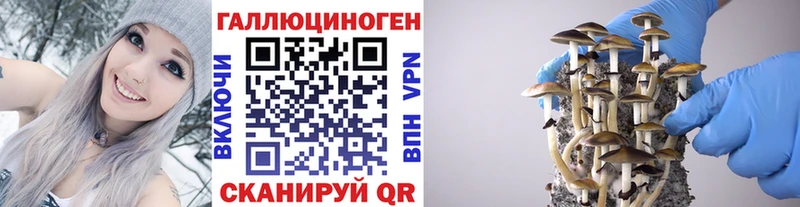 Псилоцибиновые грибы MAGIC MUSHROOMS  Рузаевка 